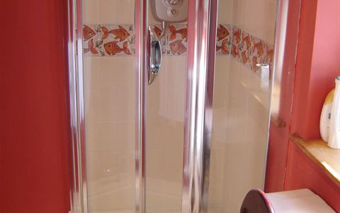 Hand Painted Shower Tiles