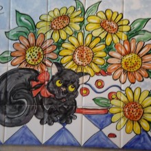 Kitchen Tiles